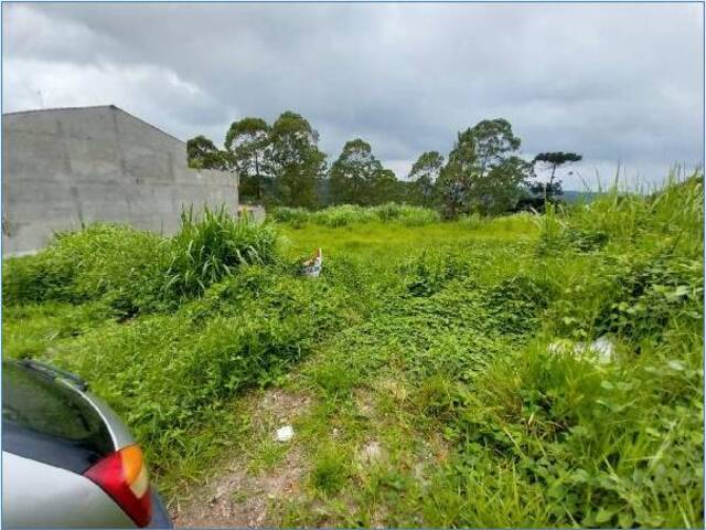 Venda em Das Pedras - Cotia
