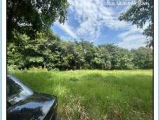 #11276 - Área para Venda em Boituva - SP - 1